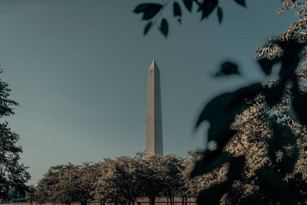 Photo Gavel, Constitution