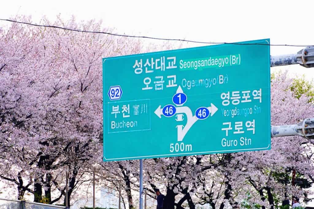 Understanding Right of Way: When to Yield According to the Law 4 Photo Traffic sign